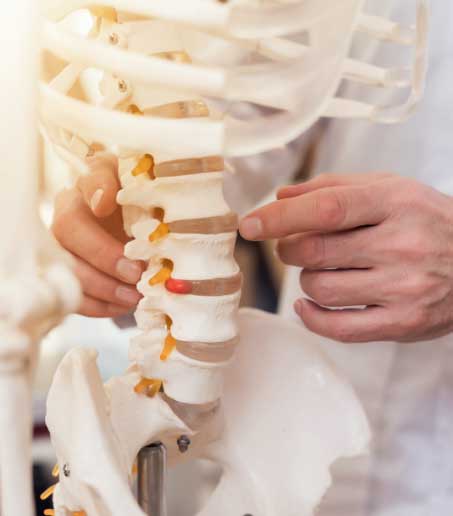 Backbone